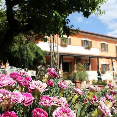 B&B Casale Shanti Piedimonte San Germano ภายนอก รูปภาพ